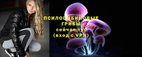 гашик Кулебаки
