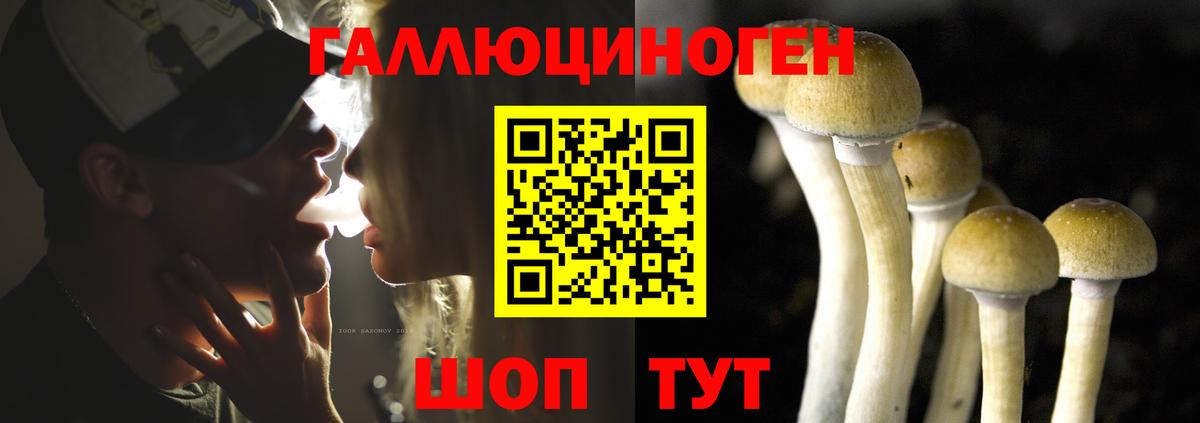 Галлюциногенные грибы ЛСД  Вход с VPN  Галлюциногенные грибы мицелий  как найти закладки  Мелеуз 